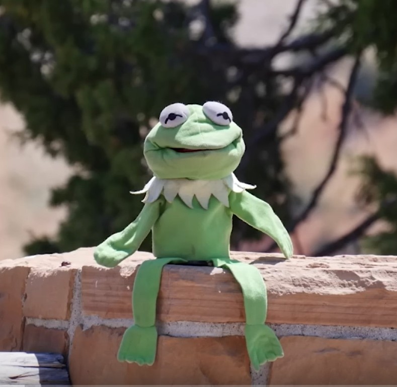 offbrand kermit puppet image